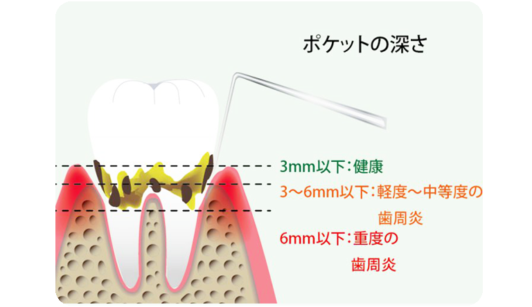 KIDS ENJOY DENTAL 森井歯科クリニック